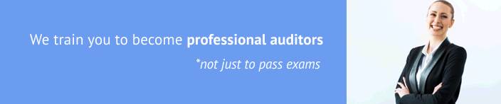 training you to become professional auditors